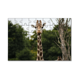 3D Lenticular Jigsaw Puzzle