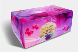 Lenticular Printing Packaging